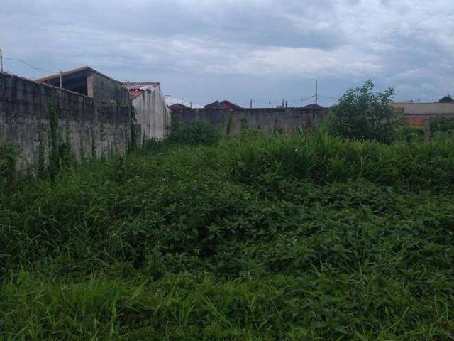 Terreno para Venda em Itanhaém - 3