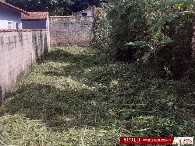 Terreno para Venda em Itanhaém - 2