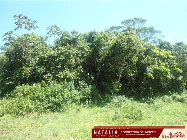 Terreno para Venda em Itanhaém - 2