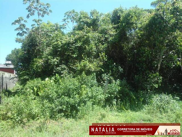Terreno para Venda em Itanhaém - 3