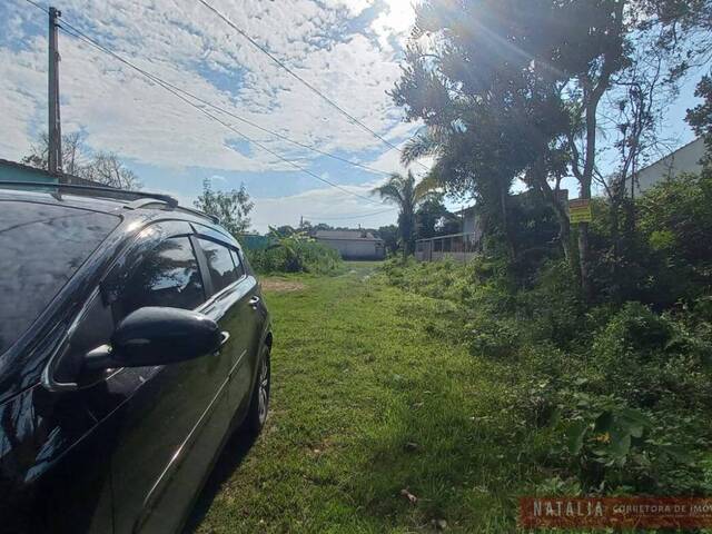 Terreno para Venda em Itanhaém - 2