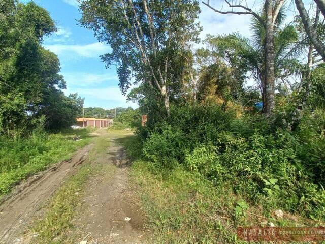 Terreno para Venda em Itanhaém - 3