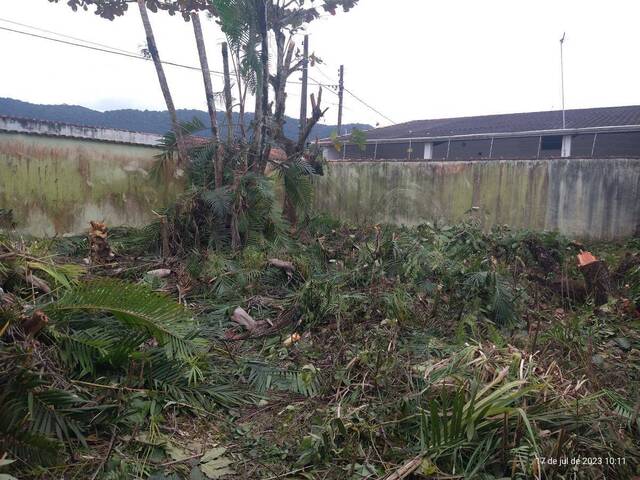 Terreno para Venda em Itanhaém - 3