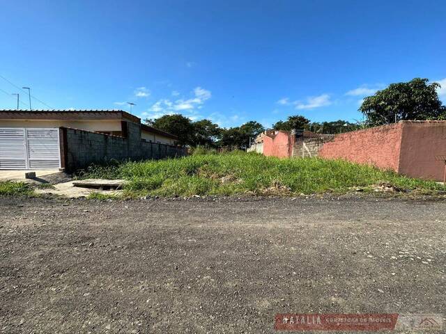 Terreno para Venda em Itanhaém - 4