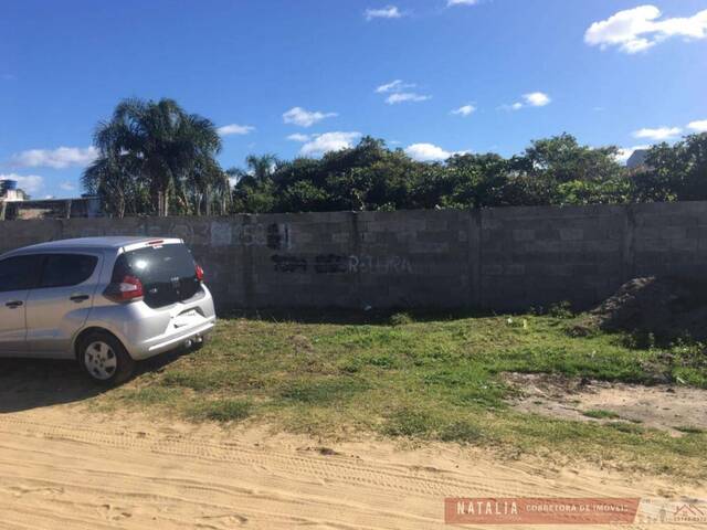 Terreno para Venda em Itanhaém - 2