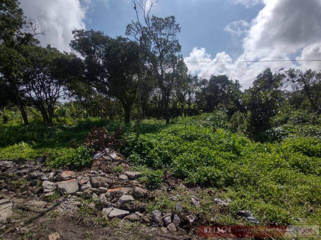 Terreno para Venda em Itanhaém - 2