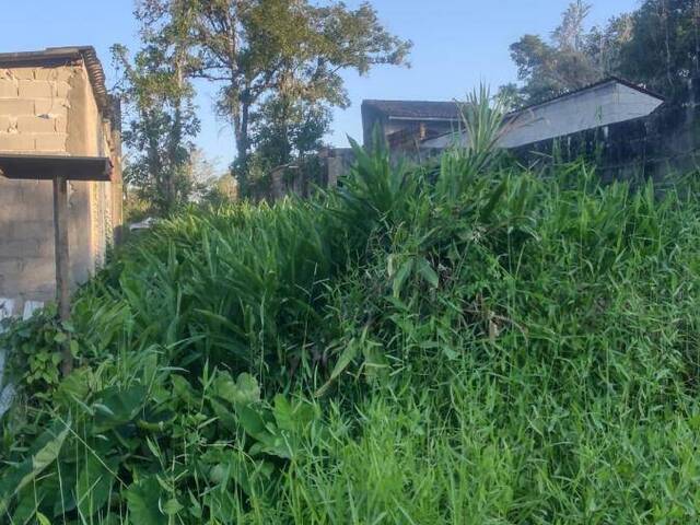 Terreno para Venda em Itanhaém - 2