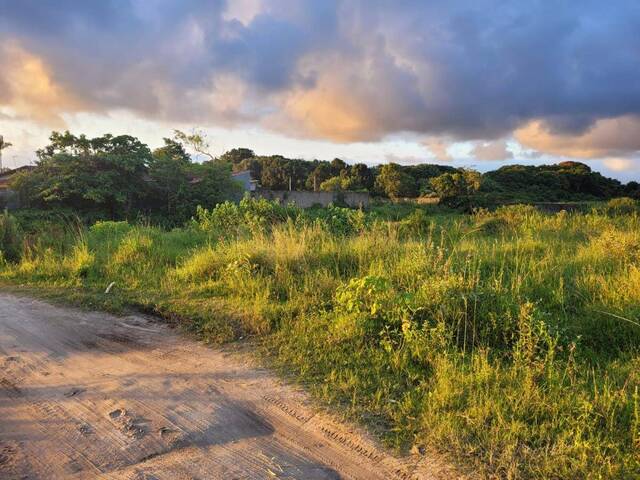 Terreno para Venda em Itanhaém - 2