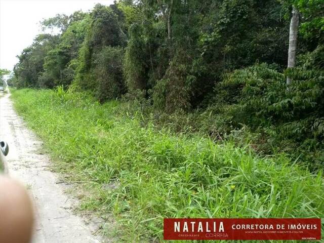 Terreno para Venda em Itanhaém - 2