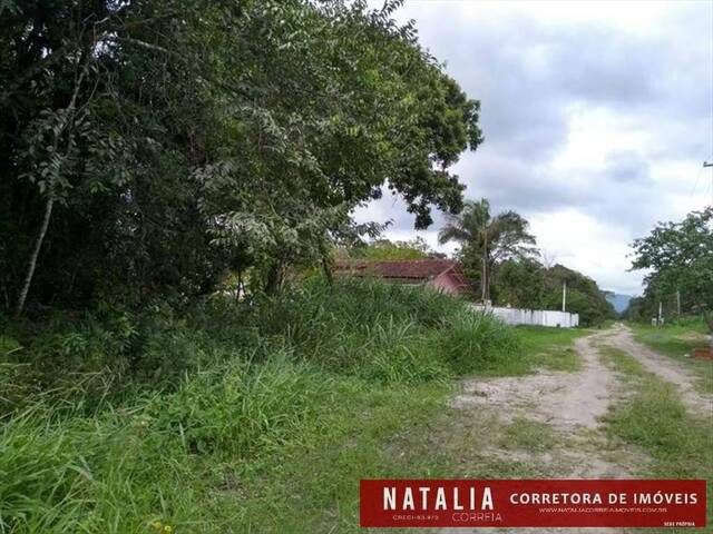 Terreno para Venda em Itanhaém - 3