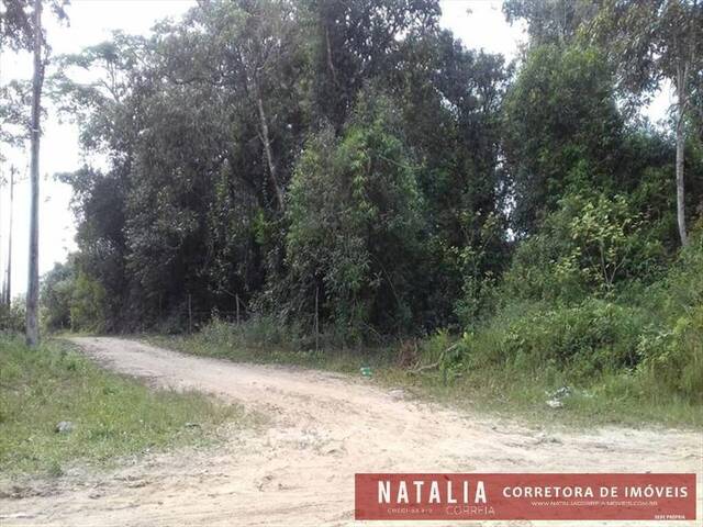Terreno para Venda em Itanhaém - 2