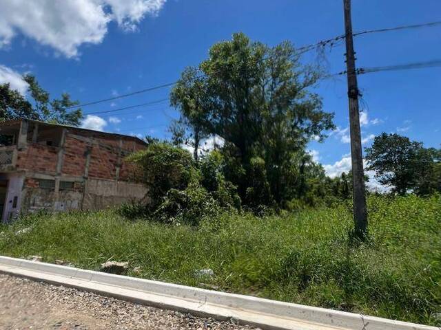 Terreno para Venda em Itanhaém - 3